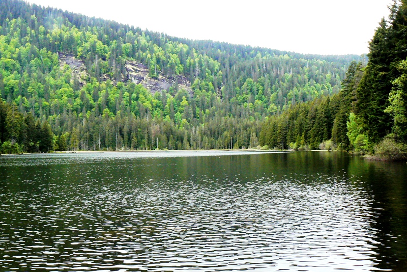 Jezero pod Velkým Javorem