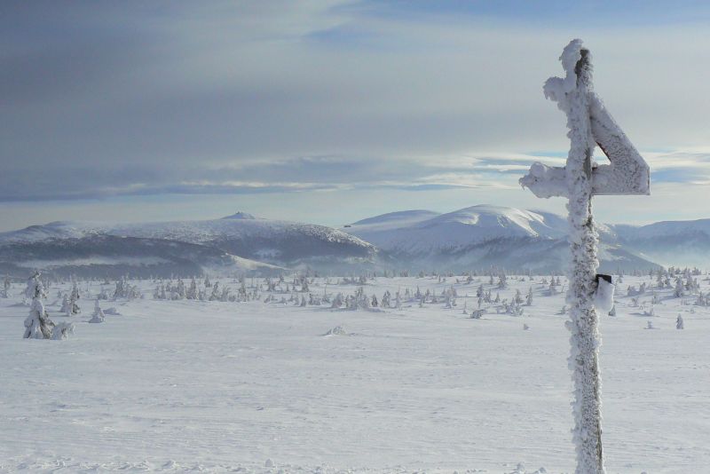 Sněžka + Luční bouda